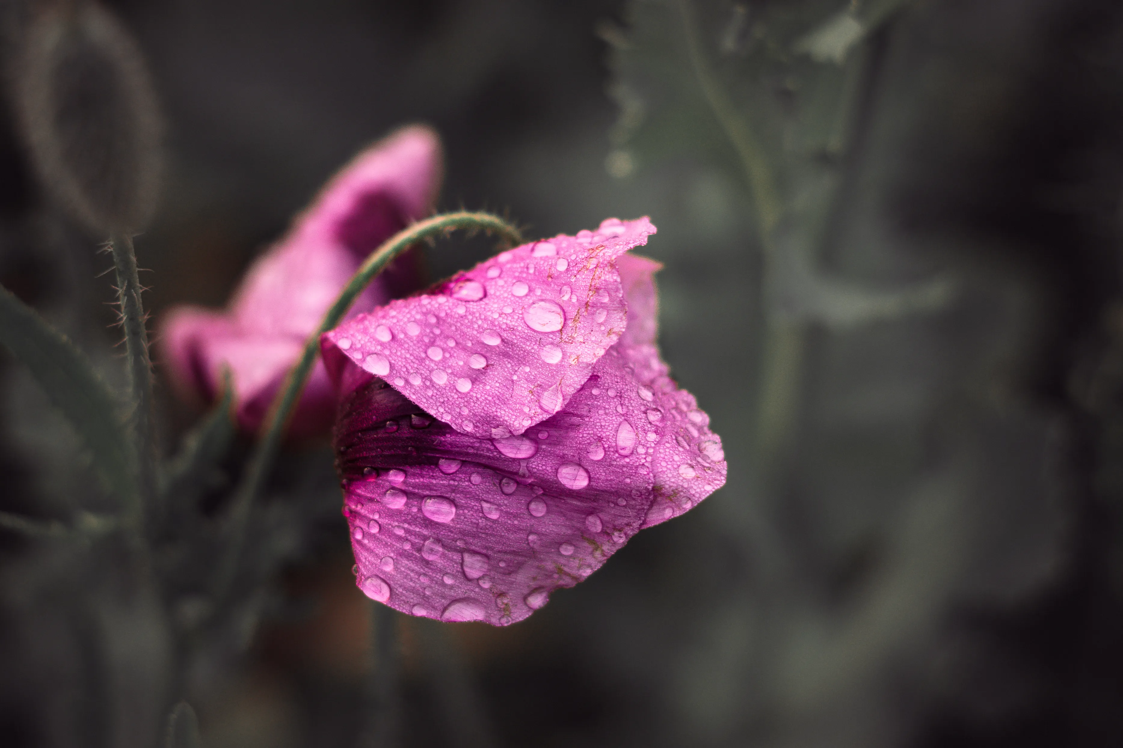 Zwischen Licht & Natur – Galeriebild 6